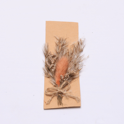 Ζωηρόχρωμη Pampas φυσική ξηρά χλόη 43*15cm για το σύνολο δώρων