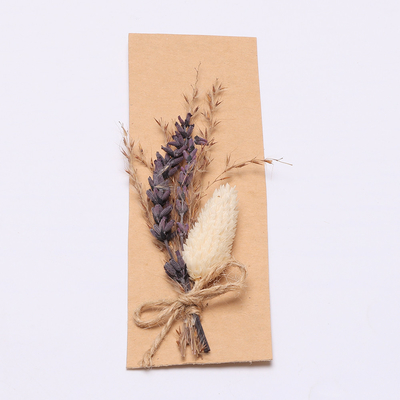 Ζωηρόχρωμη Pampas φυσική ξηρά χλόη 43*15cm για το σύνολο δώρων