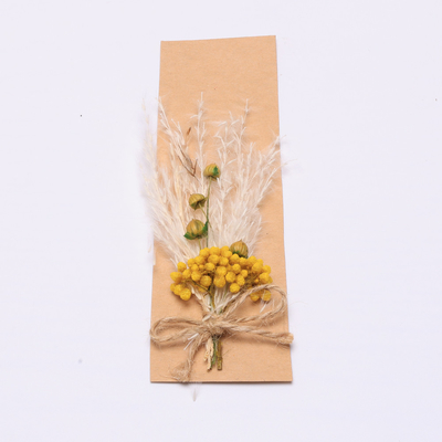 Ζωηρόχρωμη Pampas ρύθμιση τεχνητά 43*15cm χλόης