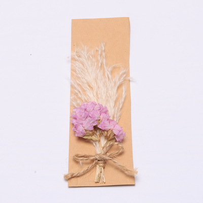 Ζωηρόχρωμη Pampas ρύθμιση τεχνητά 43*15cm χλόης