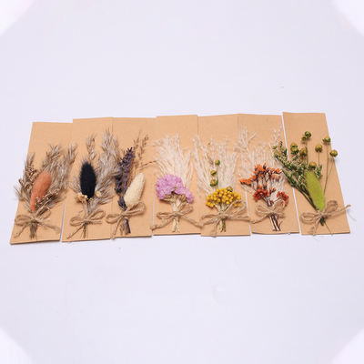 Ζωηρόχρωμη Pampas ρύθμιση τεχνητά 43*15cm χλόης