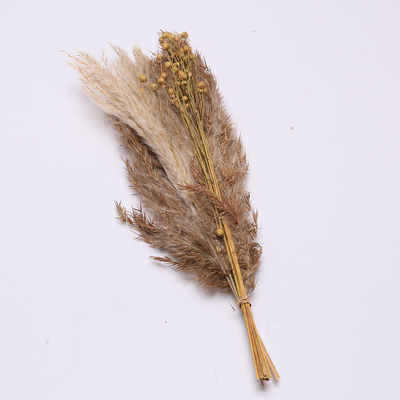 Τεχνητό Pampas μήκος 35cm ρύθμισης χλόης