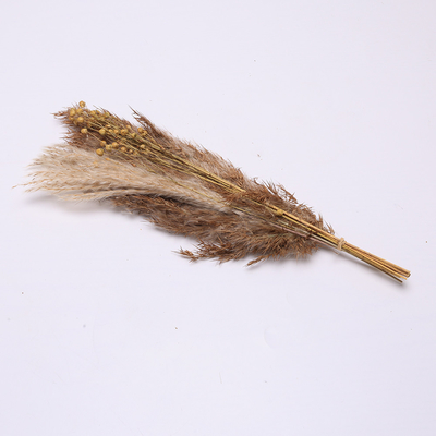 Τεχνητό Pampas μήκος 35cm ρύθμισης χλόης