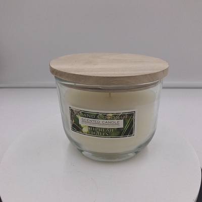 Citronella μυγών cOem απωθητικό Scented υπαίθριο κερί για το κατώφλι